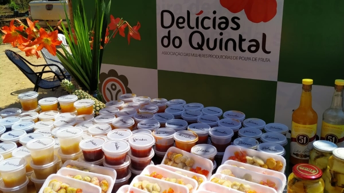 Agricultoras do sudeste do Pará transformam frutas de quintais e pomares em negócio diversificado