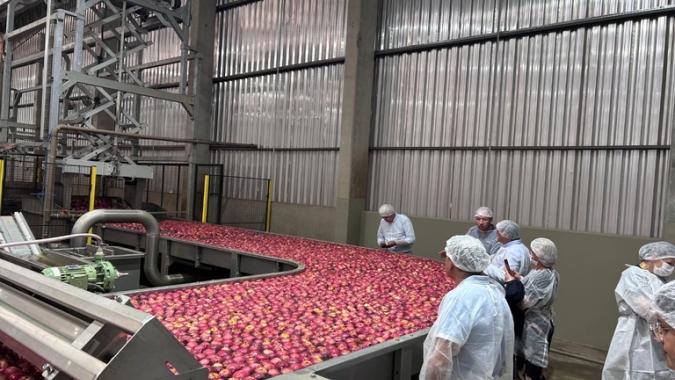 Missão internacional avança na abertura do mercado cubano para frutas brasileiras