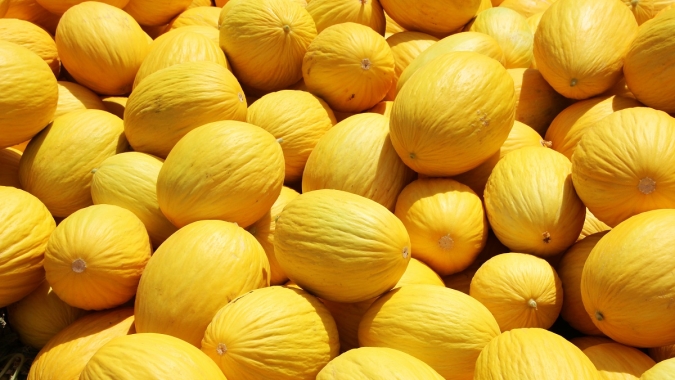 Melão/Cepea: Menor oferta eleva cotações do amarelo graúdo