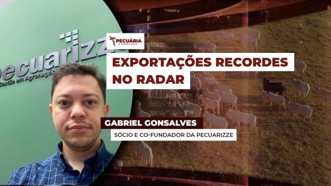 Julho nem acabou e volume de carne bovina exportada já é maior que no ano passado