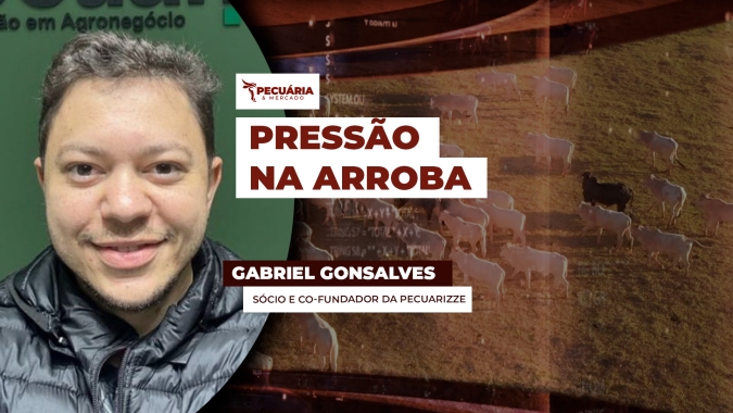 Cenário de incerteza pode mudar tendência da arroba e pecuarista tem que estar preparado