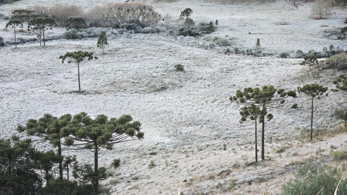 Sul do Brasil registra temperaturas negativas e frio continua por mais um dia