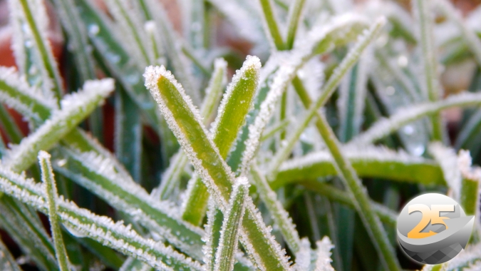 La Niña persiste, favorece queda nas temperaturas e 1ª onda de ar frio intensa é esperada já no final de abril