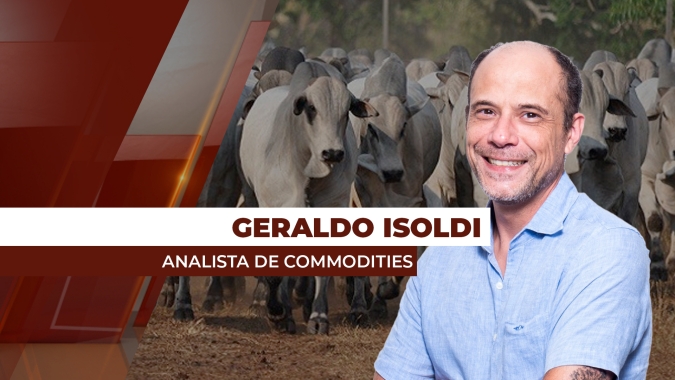 Virada de mês pode promover retomada da firmeza nos preços da arroba do boi com melhora da demanda interna