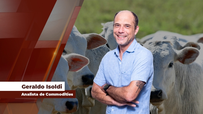 Liquidação na B3 do contrato outubro para o boi gordo começa com expectativa de rondar os R$ 310,00 por arroba