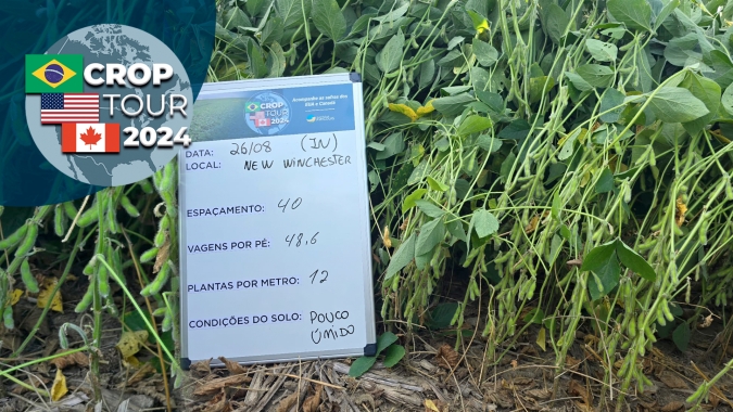 "Lavouras estão realmente muito boas, mas precisam de mais uma chuva para fechar o ciclo", afirma diretor da Labhoro