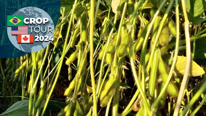 Notícias Agrícolas e Grupo Labhoro chegam a Illinois e confirmam forte potencial da soja e do milho