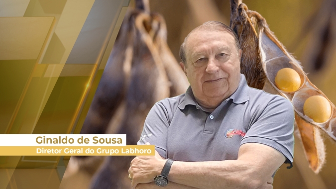 Relatório do USDA foi neutro para soja, mas Chicago caiu com alta do dólar e chuvas no Brasil favorecendo plantio