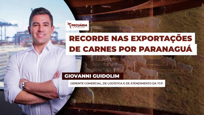 Terminal de Contêineres de Paranaguá bate recorde histórico no primeiro semestre de 2025