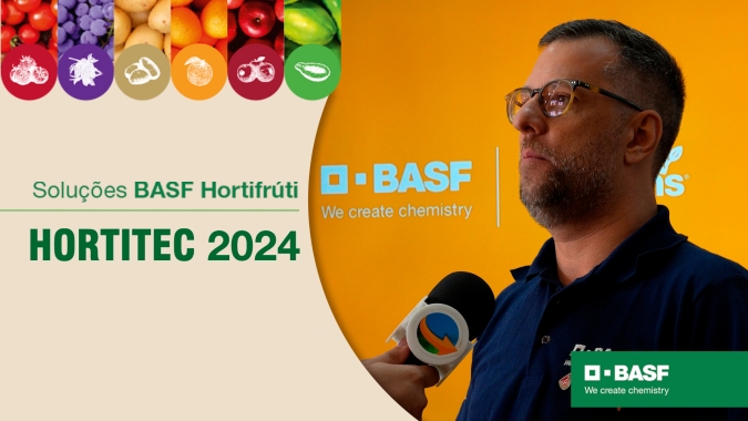 Sementes de HFs precisam aliar produtividade e qualidade