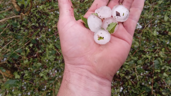 Chuvas de granizo em novembro já atingiram 51 mil hectares de lavouras em Minas Gerais