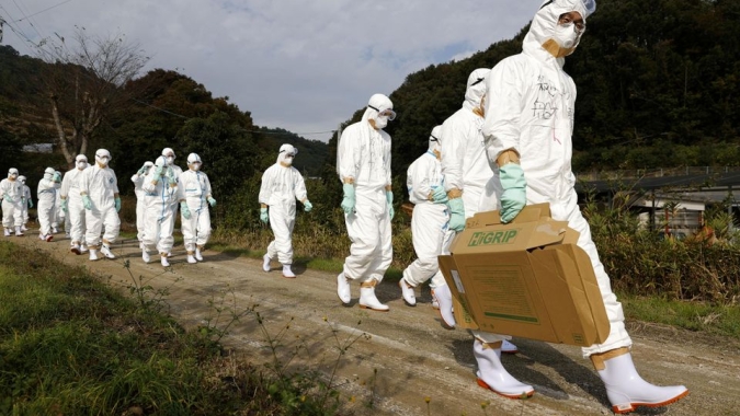 Organização Avícola do RS realiza fórum sobre prevenção a Influenza Aviária