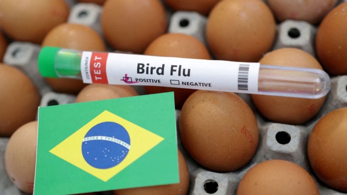 RS: Fórum Estadual de Influenza Aviária discute a evolução e perspectiva da doença