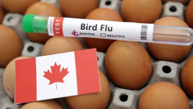 Canadá compra 500.000 doses da vacina da GSK contra gripe aviária