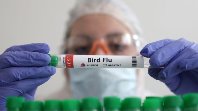 Preocupação com gripe aviária leva EUA a conceder US$ 176 milhões à Moderna para desenvolvimento de vacina