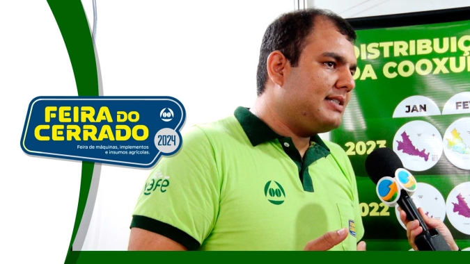 Café: Chuvas no Cerrado ficaram abaixo da média e e produtor vai precisar de bons volumes para garantir bom rendimento da safra