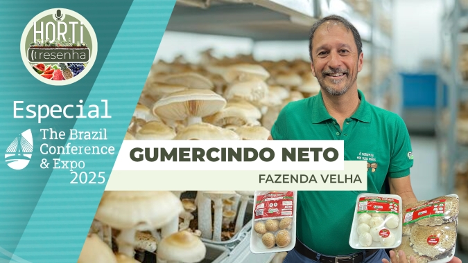 HORTI RESENHA ESPECIAL IFPA - Produção de cogumelos orgânicos