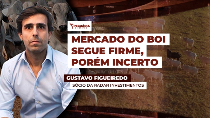 Tamanho da oferta de fêmeas e ritmo das exportações em abril podem impactar arroba do boi