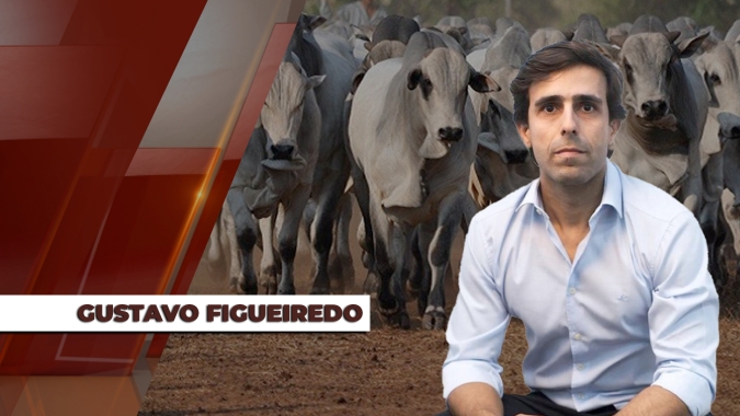 Novo cenário de comercialização do boi vem se desenhando com formação regionalizada de preços para arroba; SP reduz referência
