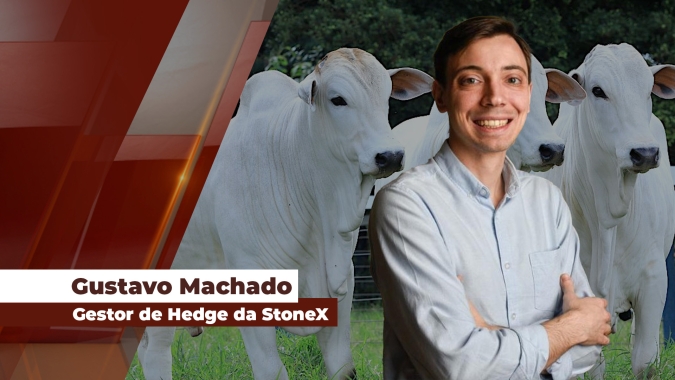 Em tempos de alta expressiva, atenção à volatilidade do mercado é determinante para fechar um hegde, diz especialista