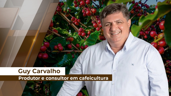 Estiagem prolongada no Brasil afeta produção dos cafés especiais