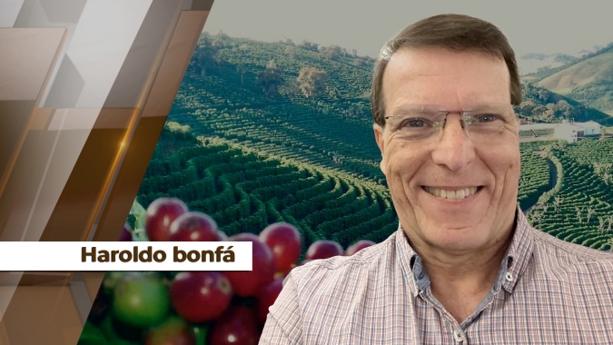 Mercado cafeeiro segue em volatilidade e altas temperaturas preocupam produtividade da safra 2025