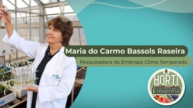 HORTI RESENHA #31 - Nova amora-preta da Embrapa traz ganho de produtividade e foco no processamento
