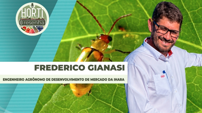 HORTI RESENHA #148 - Controle da larva-alfinete e da vaquinha na batata