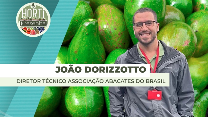 HORTI RESENHA #88 - Produção de abacate aumenta no Brasil e busca por conhecimento no setor também cresce