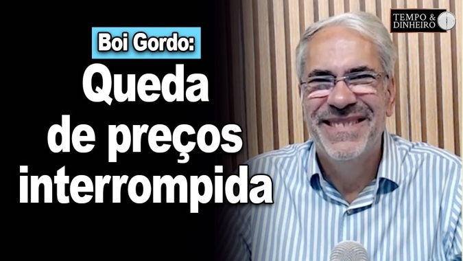 Boi gordo interrompe queda de preços e B3 mostra distorção de cotações com indicador CEPEA