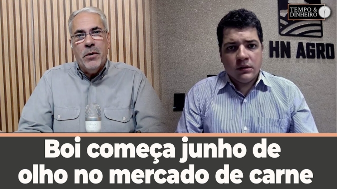 Boi começa junho de olho no mercado de carne, exportações, escalas de abate alongadas.