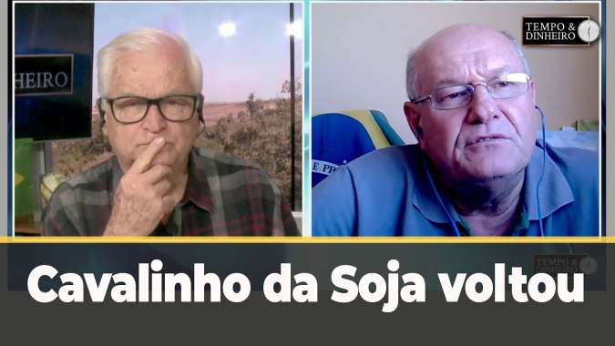Cavalinho da Soja voltou