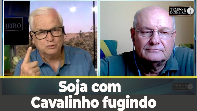 Plantio da Soja fechando plantio nos EUA e Cavalinho fugindo