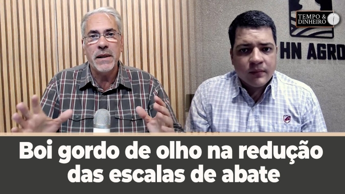 Boi gordo abre semana de olho na redução das escalas de abate e preços estáveis