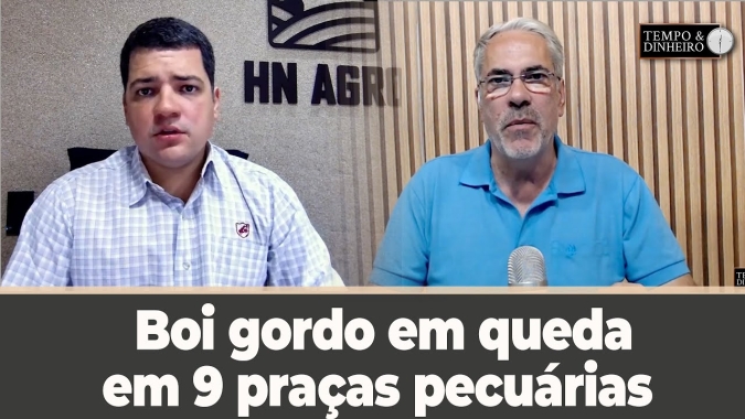 Boi gordo tem enxugamento das escalas de abate mas segue em queda em 9 praça pecuárias