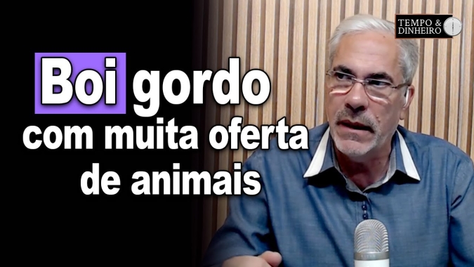 Boi gordo abre semana pressionado de olho no clima e oferta ainda robusta de animais