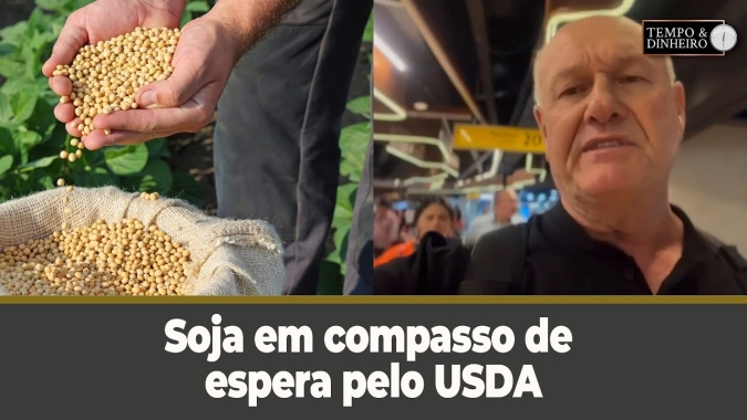 Soja em compasso de espera pelo USDA