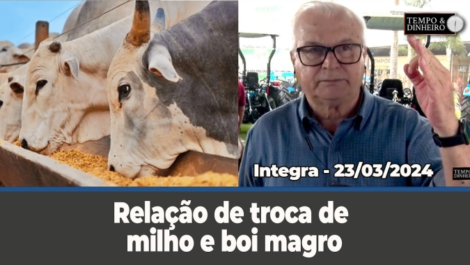 Temporais no Sul, maior volume de negócios no balcão gaúcho e relação de troca de milho e boi magro