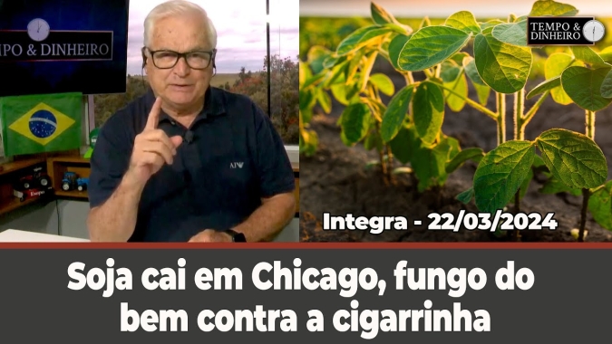 Soja cai em Chicago, fungo do bem contra a cigarrinha e chuvas extremas para o RJ e Oeste do Brasil