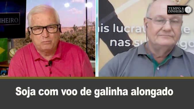 Soja com voo de galinha alongado