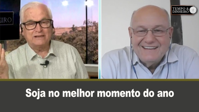 Soja no melhor momento do ano