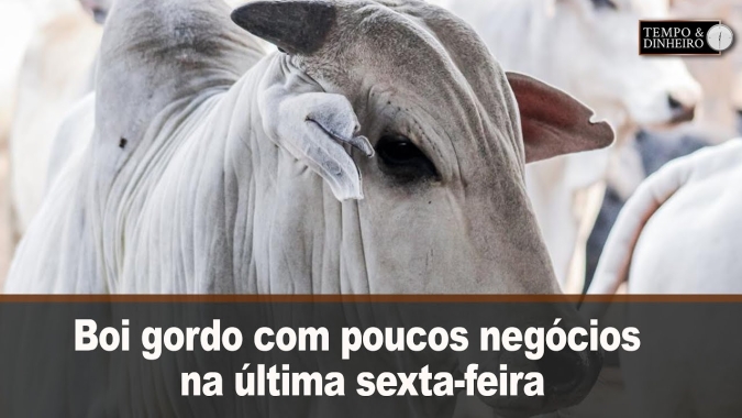 Boi gordo com poucos negócios na última sexta-feira de abril, mas de olho no início de maio.
