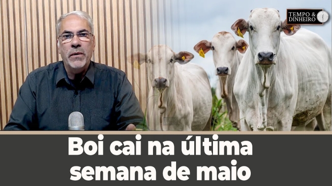 Boi cai na última semana de maio com aumento das escalas de abate
