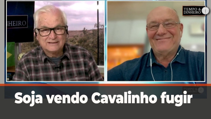 Soja vendo Cavalinho fugir