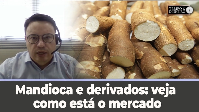 Mandioca e derivados: veja como está o mercado direto do Cepea