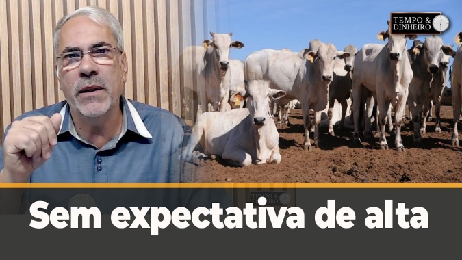 Boi gordo caminha para junho sem expectativa de alta