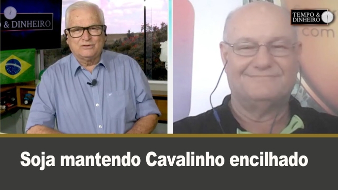 Soja mantendo Cavalinho encilhado
