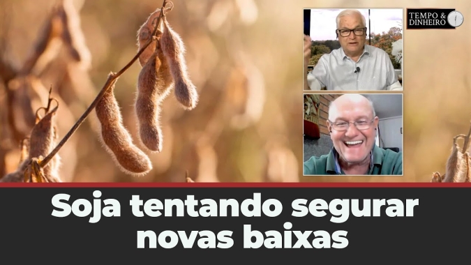 Soja tentando segurar novas baixas