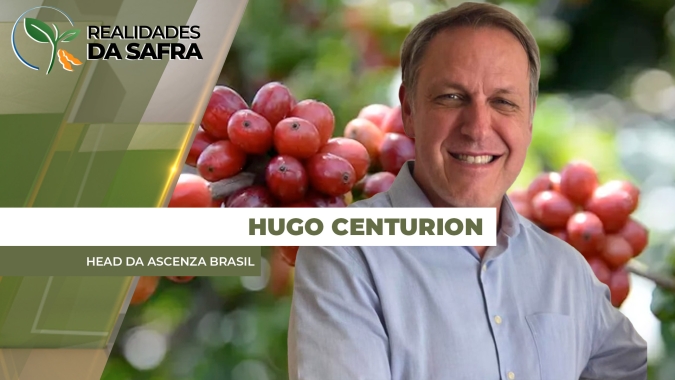 Com produção mais do que dobrando em 10  anos, café conilon do Brasil aumenta protagonismo em volume, qualidade e competitividade