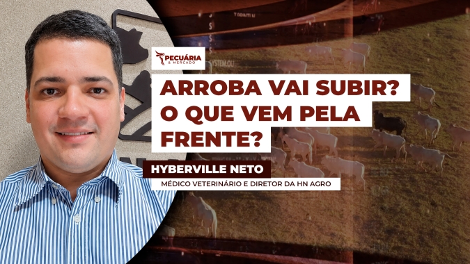 Boi gordo: disputa entre frigoríficos e pecuaristas mantém mercado em alerta
